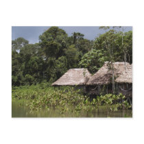 Travel collecting postcard 11
