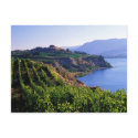 Travel collecting postcard 26