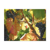 Travel collecting postcard 65 by meoyeuheo Travel collecting postcard 65