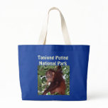 Travel Indonesia - Tanjung Puting National Park bags