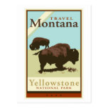 Travel Montana Post Card