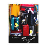 travel, postcards, postcard, vacation, holiday,
