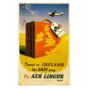 Travel to Ireland poster Baby Doll T t-shirts