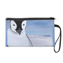 Travel wallet wristlet clutches