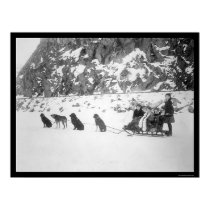 Traveling by Dog Sled Canada 1912 posters