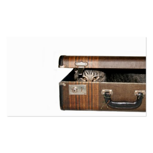 Traveling cat business card