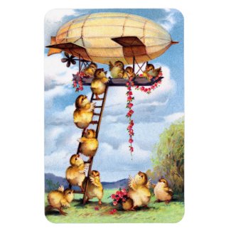 Travelling Chickens