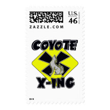 TRAVESÍA DEL COYOTE (X-ING) ENVIO