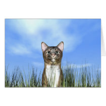 Travis cards