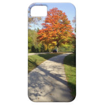 Trayectoria del parque del otoño de la caída iPhone 5 coberturas