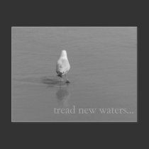 Tread new waters postcards