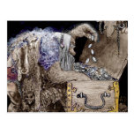 Treasure Chest Troll Postcard