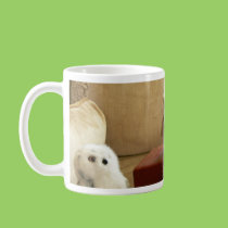 Treasure Hunt mugs