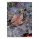 "Treasure in Ice" Card