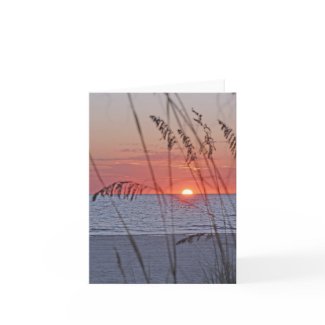 Treasure Island Sunset Note Card card
