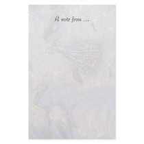 Treasure Island Underwater Shells Stationery