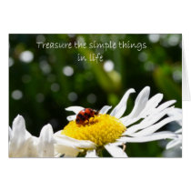 Treasure Life cards