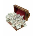 TreasureChestMoney100309 t-shirts