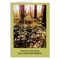 Treasures in the Woods cards by epclarke Treasures in the Woods cards