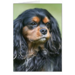 Treasuring Our Friendship Cavalier King Charles Card