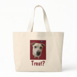 Treat? Treat?