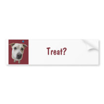Treat? bumper stickers