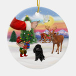 Treat for a Black Poodle (Toy) Ornaments