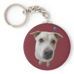 Treat? Key Chains Treat? Key Chains
