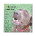 Treats NOW Magnet