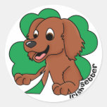 Trébol Irish Setter del dibujo animado Etiquetas Redondas