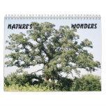 Tree-02, NATURE'S, WONDERS
