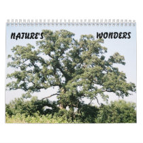 Tree-02, NATURE'S, WONDERS Wall Calendar