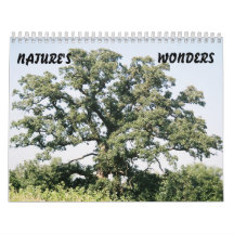 Tree-02, NATURE'S, WONDERS Wall Calendar