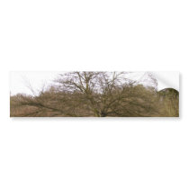 Tree 2 bumper stickers
