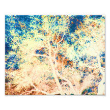 Tree abstract orange and blue background photograph
