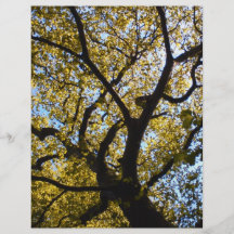 Tree against blue sky. personalized flyer