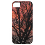 Tree against Red Sky casemate cases