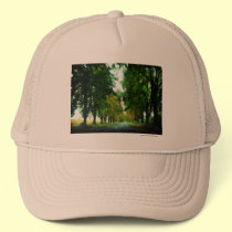 Tree alley in Hungary hats
