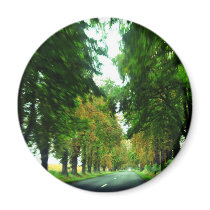 Tree alley in Hungary magnets by Rainmountain Tree alley in Hungary magnets