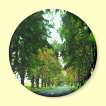Tree alley in Hungary magnets