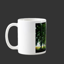 Tree alley in Hungary mugs
