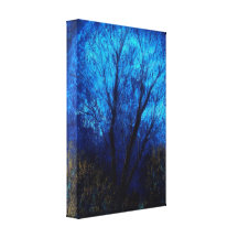 Tree and Blue Sky, Evening. Stretched Canvas Prints