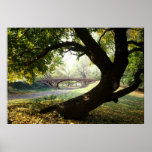 Tree and Bridge in Central Park posters