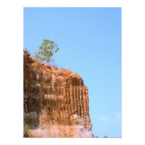 Tree and Cliff posters