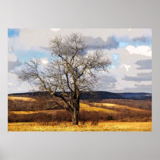 Tree and Distant Hills Poster