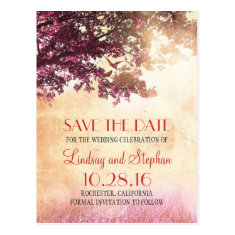 tree and love birds rustic vintage save the date postcard