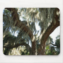 Tree and Spanish Moss Mousepad