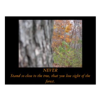 Tree And The Forest print