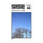 Tree and the Moon postage