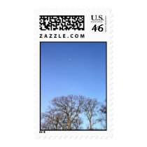 Tree and the Moon postage